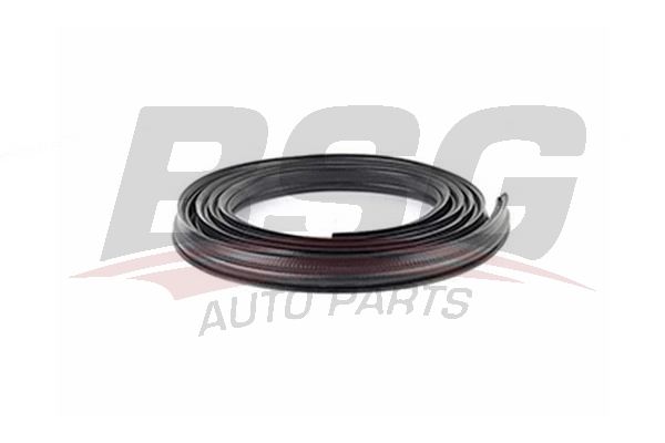 BSG 30936030 Kapı Toz Lastiği Arka