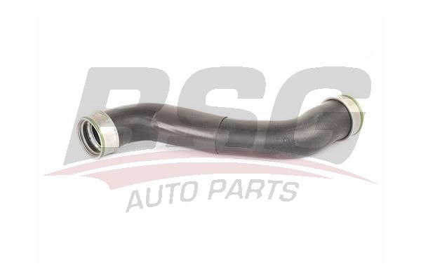 BSG 60720231 Turbo Hortumu