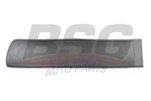 BSG 70924016 Kapı Kusağı Arka Sol