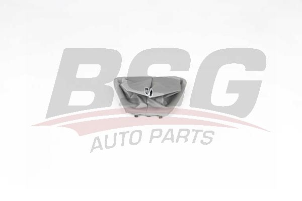 BSG 25467003 Vites Üst Körüğü