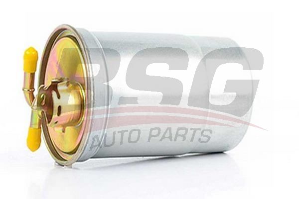 BSG 90130002 Yakıt Filtresi