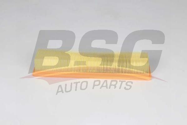 BSG 75135018 Hava Filtresi