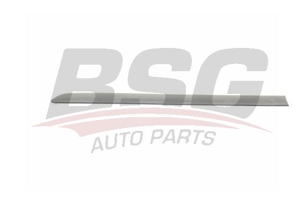 BSG 90924027 Kapı Bandı Arka Sol