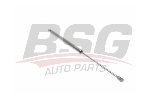 BSG 90980022 Bagaj Amortisörü - . Görsel