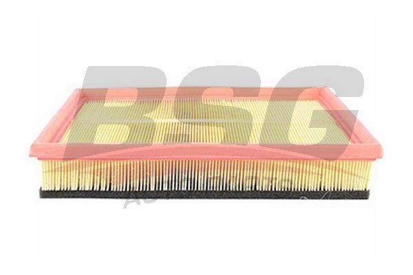 BSG 65135016 Hava Filtresi