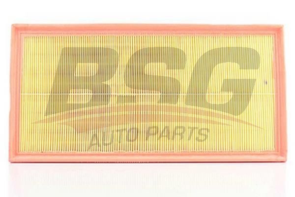 BSG 90135014 Hava Filtresi - . Görsel
