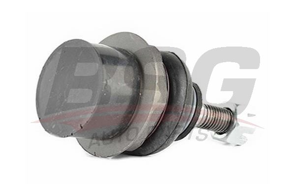 BSG 40310062 Rotil Alt