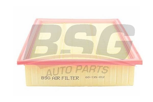 BSG 60135012 Hava Filtresi - . Görsel