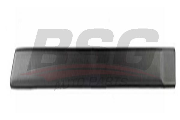 BSG 30924018 Kapı Kusağı Arka Sol