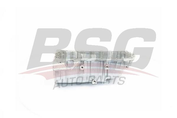 BSG 75160001 Yağ Karteri