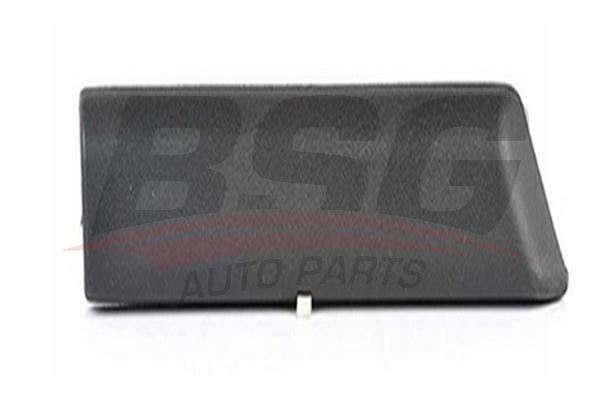 BSG 65926011 Çamurluk Bandı Ön Sol