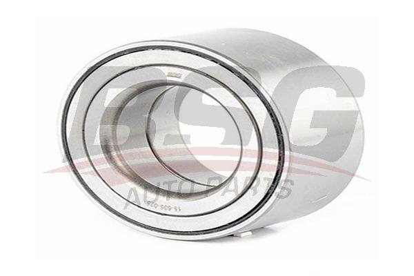 BSG 15605025 Teker Rulmanı