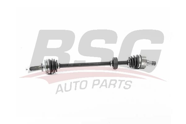BSG 16350013 Aks Komple Ön Sağ - . Görsel
