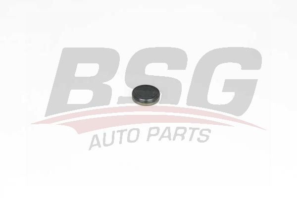 BSG 60109018 Zincir Gergi Tapası