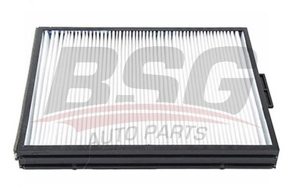 BSG 40145013 Polen Filtresi - . Görsel