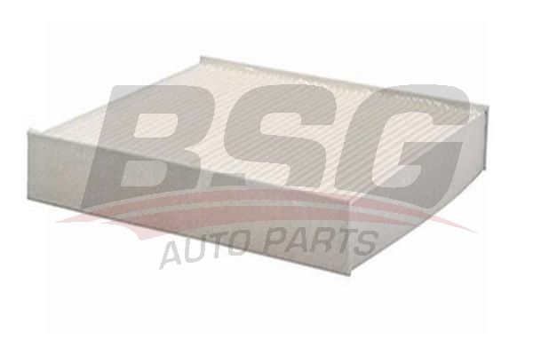 BSG 30145004 Polen Filtresi