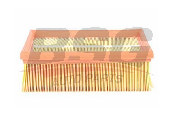 BSG 30135009 Hava Filtresi