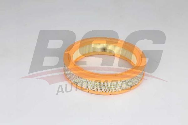 BSG 25135012 Hava Filtresi