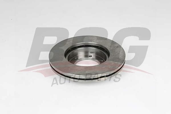 BSG 40210030 Fren Diski Ön