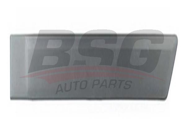BSG 30924039 Kapı Kusağı Arka Sol
