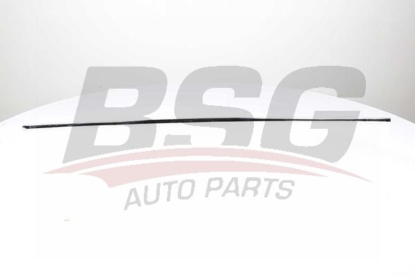 BSG 90924045 Kapı Bandı Ön Sağ