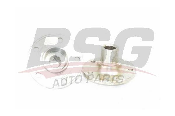 BSG 30325034 Porya Ön