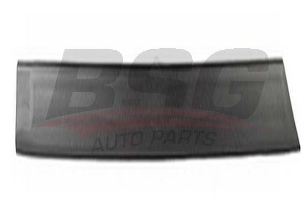 BSG 30924055 Kapı Bandı Arka Sağ