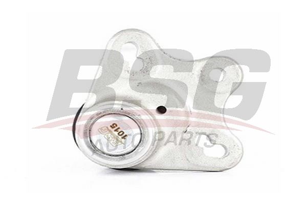 BSG 60310122 Rotil Alt