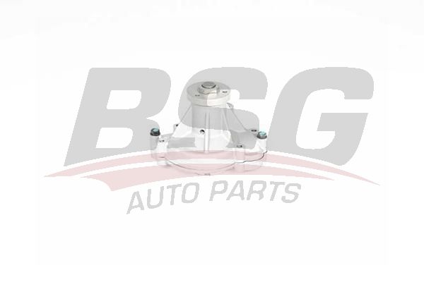 BSG 15500036 Devirdaim