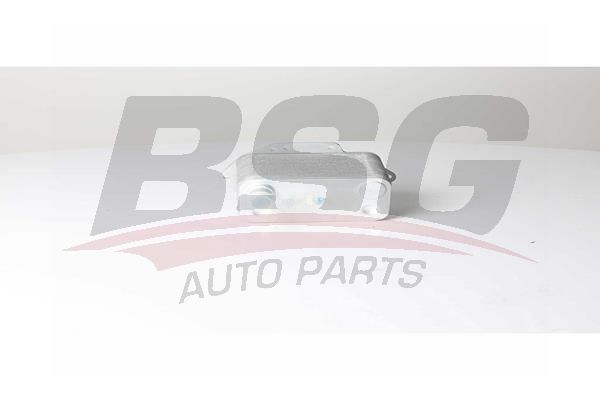 BSG 15506026 Yağ Radyatörü - . Görsel