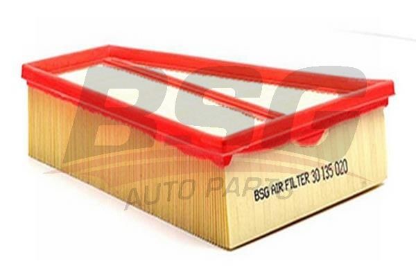 BSG 30135020 Hava Filtresi