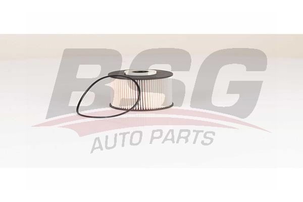 BSG 30130016 Yakıt Filtresi