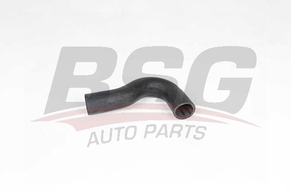 BSG 65700352 Turbo Hortumu - . Görsel