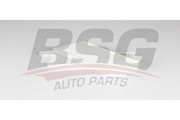 BSG 60145027 Polen Filtresi