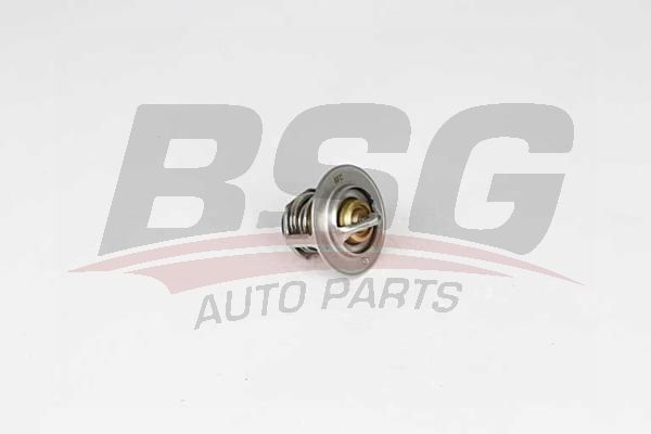 BSG 65125016 Termostat - . Görsel