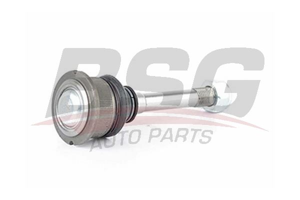 BSG 15310049 Rotil Uzun