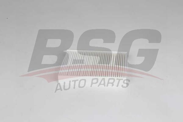 BSG 70145024 Polen Filtresi - . Görsel