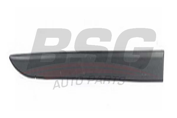 BSG 65925049 Kapı Bandı Ön Sağ