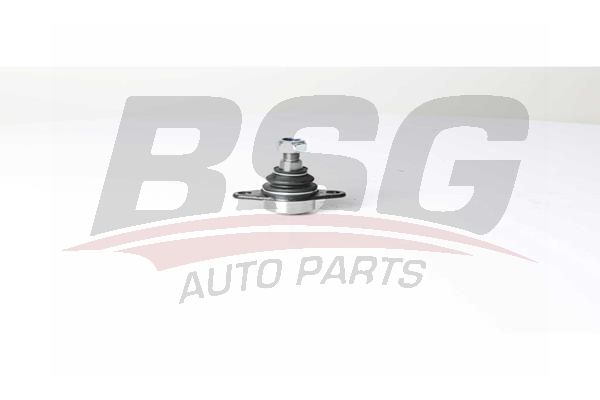 BSG 15310185 Rotil Alt