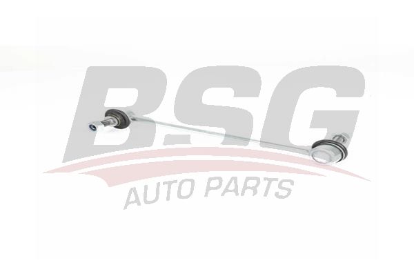 BSG 75310076 Viraj Askı Rotu Ön