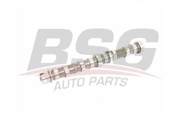 BSG 25108002 Eksantrik Mili