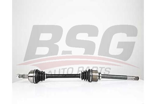 BSG 75350017 Aks Komple Ön Sağ