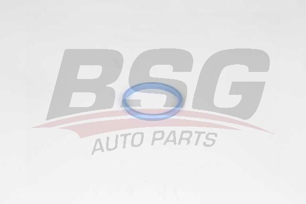 BSG 30116034 Emme Manifold Boğaz Lastiği