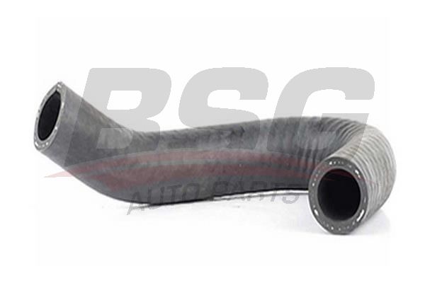 BSG 65720118 Egr Hortumu