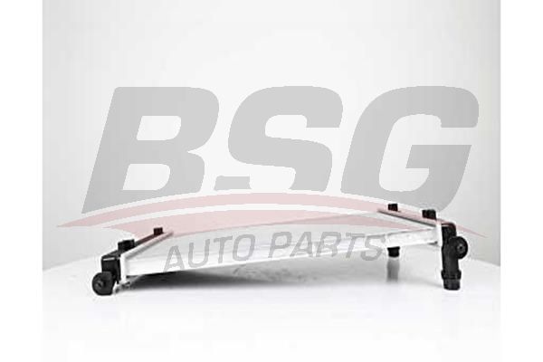 BSG 90520028 Su Radyatörü - . Görsel