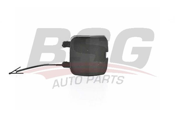 BSG 30922041 Çeki Demir Kapağı Arka