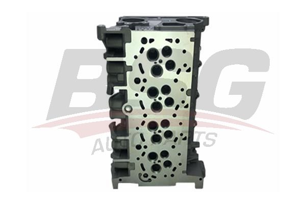 BSG 30110008 Silindir Kapağı
