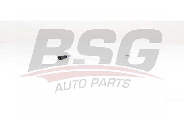 BSG 70725012 Yakıt Hortumu