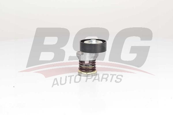 BSG 90615050 V Kayış Gergisi Komple