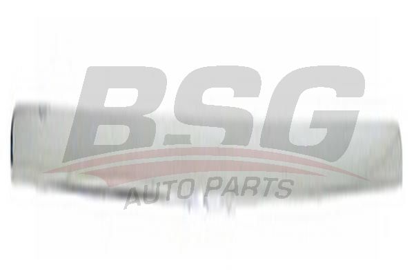 BSG 30922016 Motor Kaput Çıtası Üst